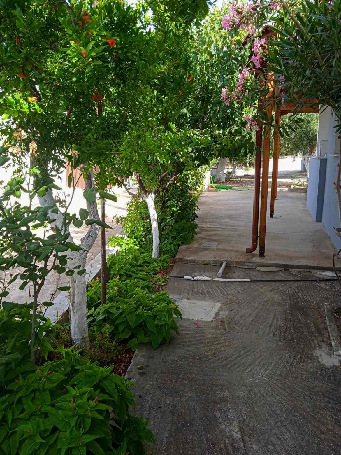Κυανή Ακτή - Agia Paraskevi Mákri Exterior foto